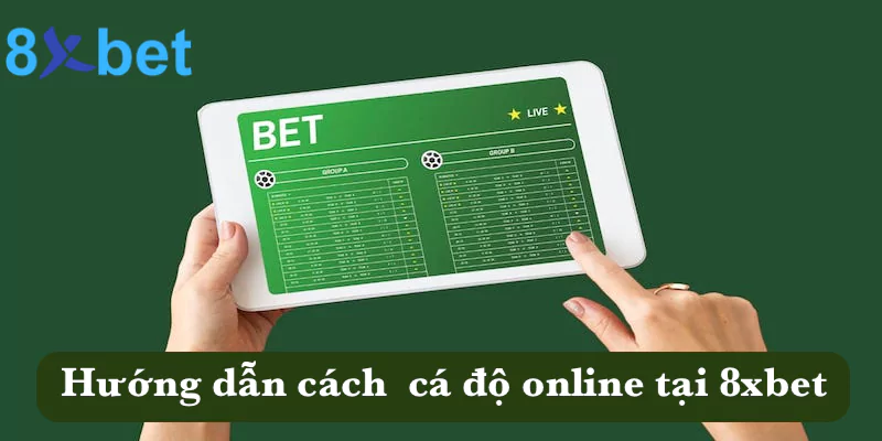 Cá độ online - Các thể loại kèo cá độ hấp dẫn tại 8xbet Hướng dẫn cách tham gia cá cược online tại 8xbet